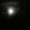 Fall Back (feat. Charlieluvscarz) - Lil Exosphere lyrics