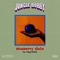 Blueberry Stain (feat. TrippythaKid & lentra) - jungle bobby lyrics