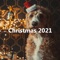 Merry Christmas Everyone (For Nest Audio Sessions) artwork