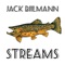 Streams (feat. Ashleigh Mannix) - Jack Biilmann lyrics