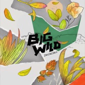 Big Wild - Crickets