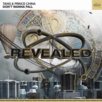 Don't Wanna Fall (Extended Mix) by !Tang, Prince China & Revealed Recordings song reviws