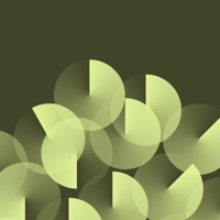 Treetops - Single - Cloud Opacity