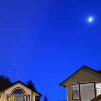 In Spite (feat. no.cape) - Single - Cavasoul