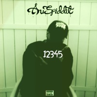 12345 - Single - Auspiddit