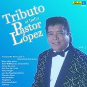 Tributo al Indio Pastor López, Vol. 3 artwork