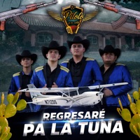 Regresaré Pa la Tuna - El piloto y su estilo