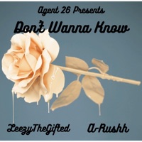 Don't Wanna Know (feat. Leezythegifted & a-Rushh) - Single - Agent 26