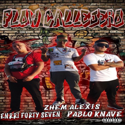 Flow Callejero (feat. Zhemalexis) - Single