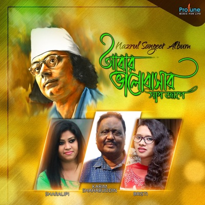 Abar Bhalobasar Shad Jage - Single