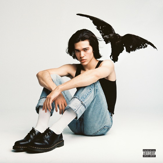 Cover artwork for The Story