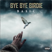 Bye Bye Birdie - Single - Basic