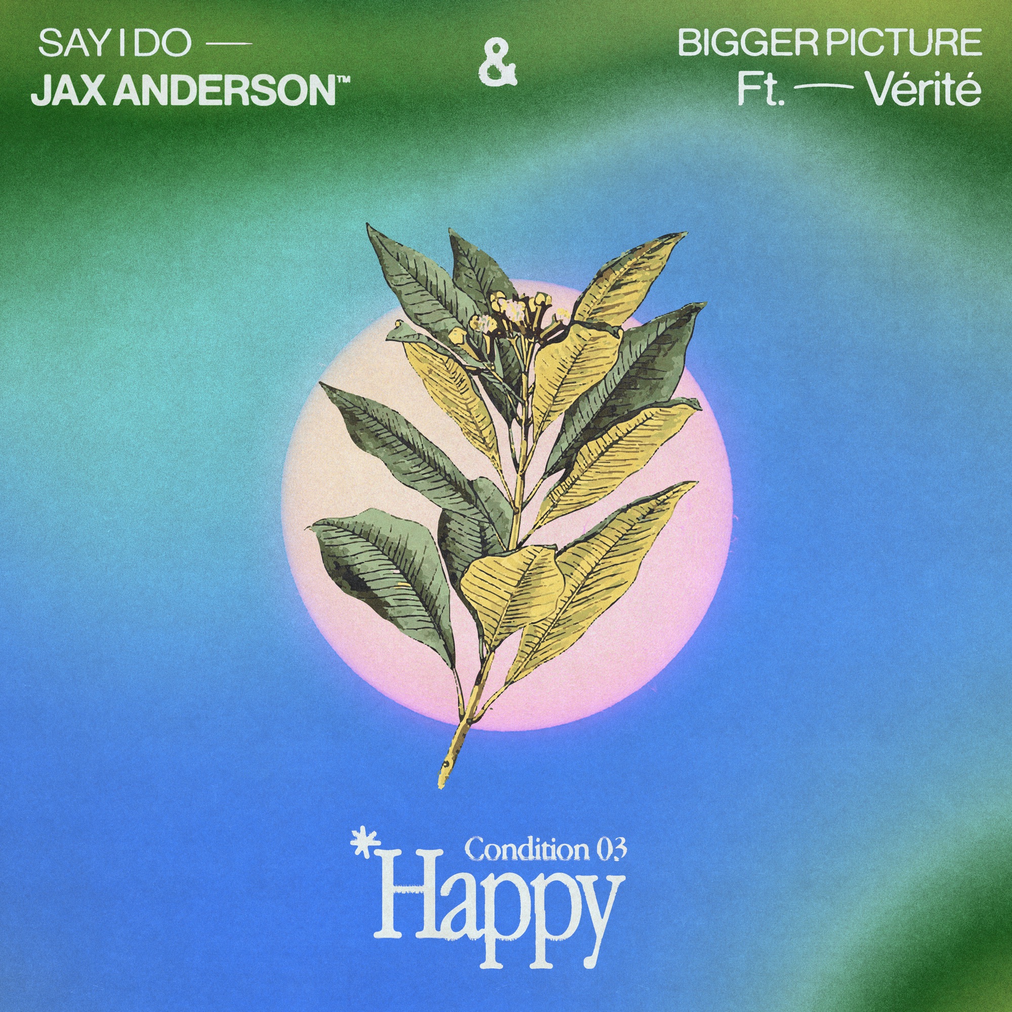 Jax Anderson - HAPPY: Bigger Picture / Say I Do - Single