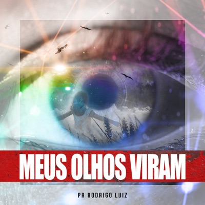 Meus Olhos Viram - Single