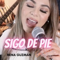Sigo de Pie (En vivo) [En vivo] - Single - Nena Guzman