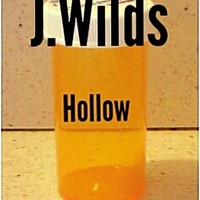 Hollow Inside - Single - J.Wilds