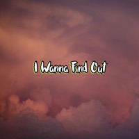 I Wanna Find Out - Single - Mixtortion