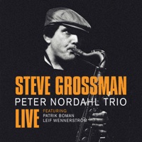 Live (feat. Leif Wennerstrom & Patrik Boman) - Peter Nordahl Trio & Steve Grossman