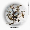 Imaginary