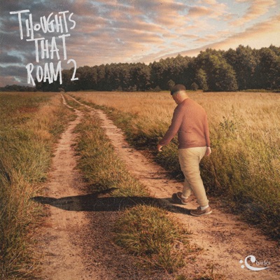Thoughts That Roam 2