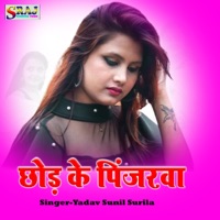 Chhod Ke Pinjarawa - Single - Yadav sunil surila