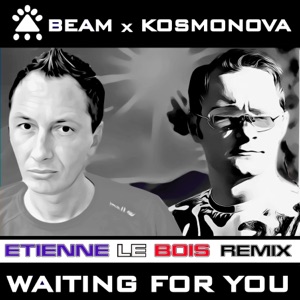 Waiting for You (Remixes) - Single