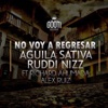 No Voy a Regresar (feat. Ruddi Nizz, Richard Ahumada & Alex Ruiz) - Single