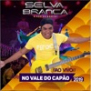 Ao Vivo no Vale do Capão 2019