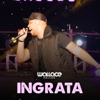 Ingrata - Single - Wallace Salles