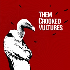 THEM CROOKED VULTURES cover art