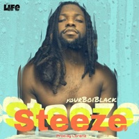 Steeze - Single - YourBoiBlack