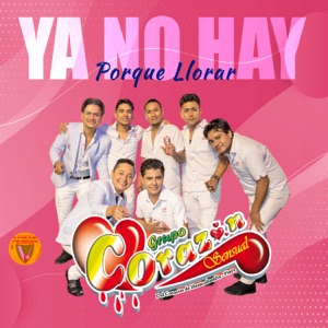 Ya No Hay Porque Llorar - Single