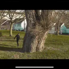 收听 El Rineidi、观看音乐视频、阅读小传、查看巡演日期等 ！