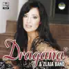 Dragana Mirkovic & Zlaja Band - Otrov I Melem