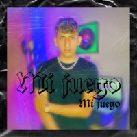 Mi Juego - Single - Dvn