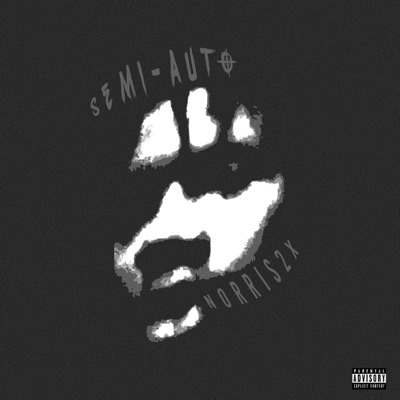 Semi - Auto