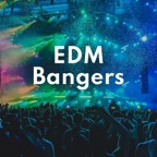 Levels (Radio Edit)