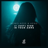 (I Just) Died in Your Arms artwork