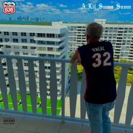 Number 1 (feat. Link-Boyz & Stevie Stone) Philly Phil