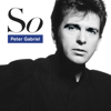 Peter Gabriel - Don't Give Up (feat. Kate Bush) artwork