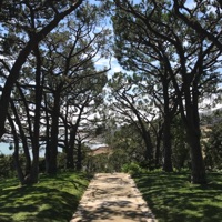 Set Up Straight - Single - Cute Club