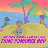 Tamo fumando bby (feat. Slimmy cuare & the lil thugg) - Single - Dxo Yanez