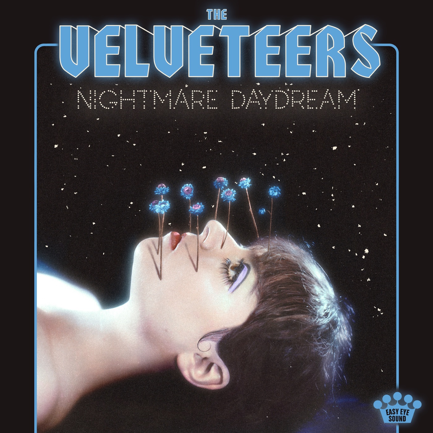 Nightmare Daydream by The Velveteers