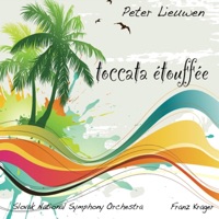 Toccata Étouffée - Single - Slovak National Symphony Orchestra & Franz Krager