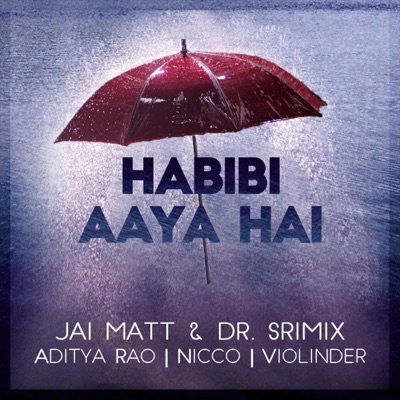 Habibi Aaya Hai (feat. Aditya Rao, Nicco & Dr. Srimix) [feat. Aditya Rao, Nicco & Dr. Srimix] - Single