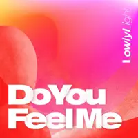 Do You Feel Me — Lowly Light
