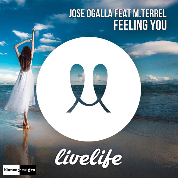 Feeling You (feat. M. Terrel) - Single