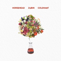 Potion (feat. Horse Head & Cold Hart) - Single - Zubin