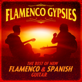 Obsession Confession - Flamenco Gypsies