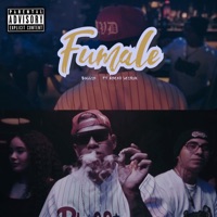 Fumale (feat. Anexo Leiruk) - Single - ballin